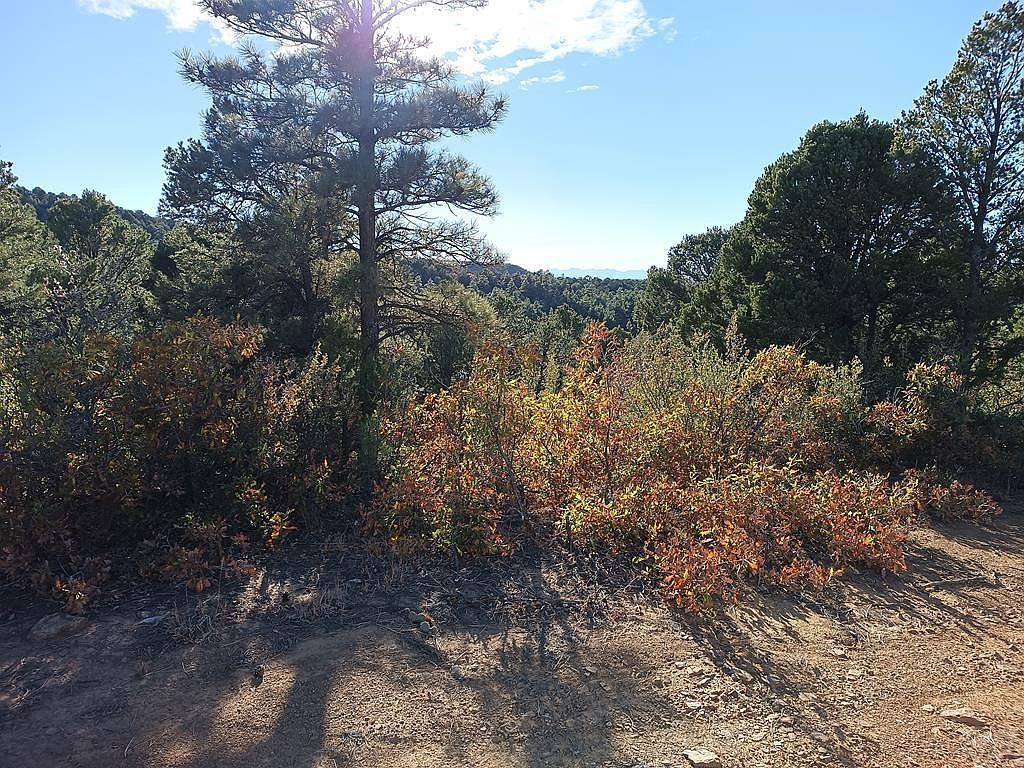 LOT 86 Ponderosa Trl Trinidad, CO 81082 - Thumbnail 2