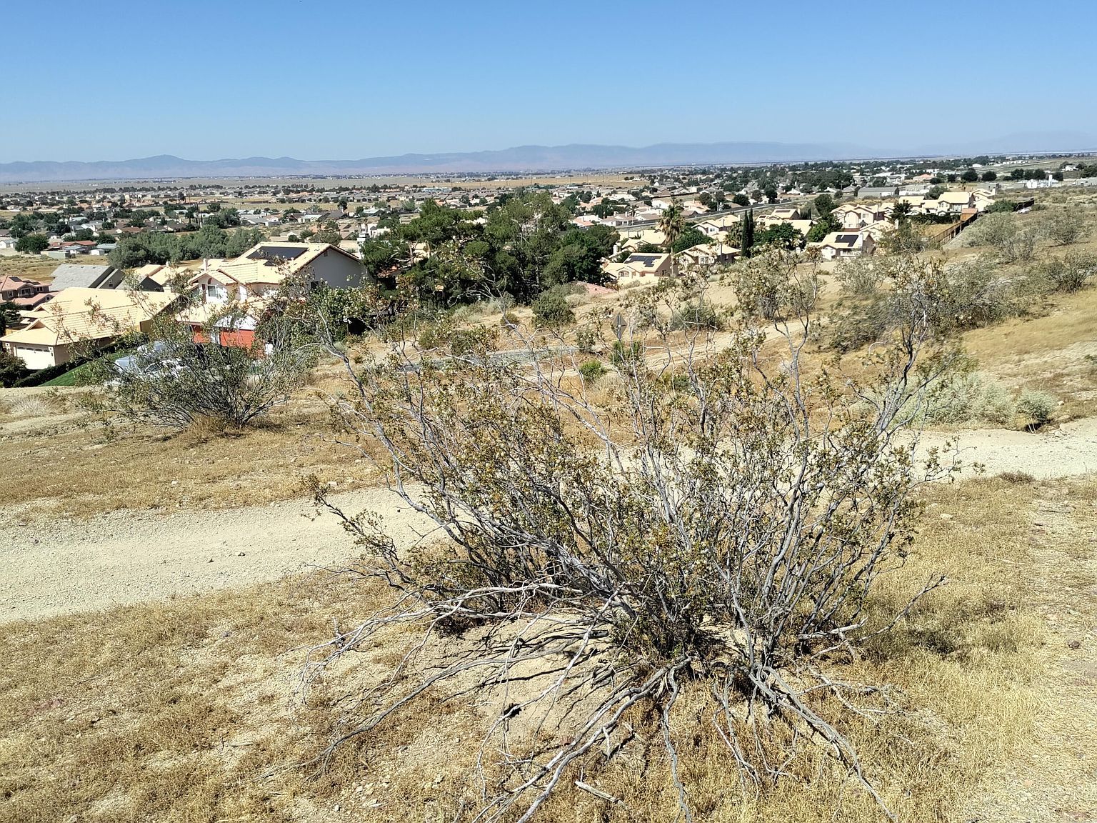 Clark St Rosamond, CA 93560 - Thumbnail 2