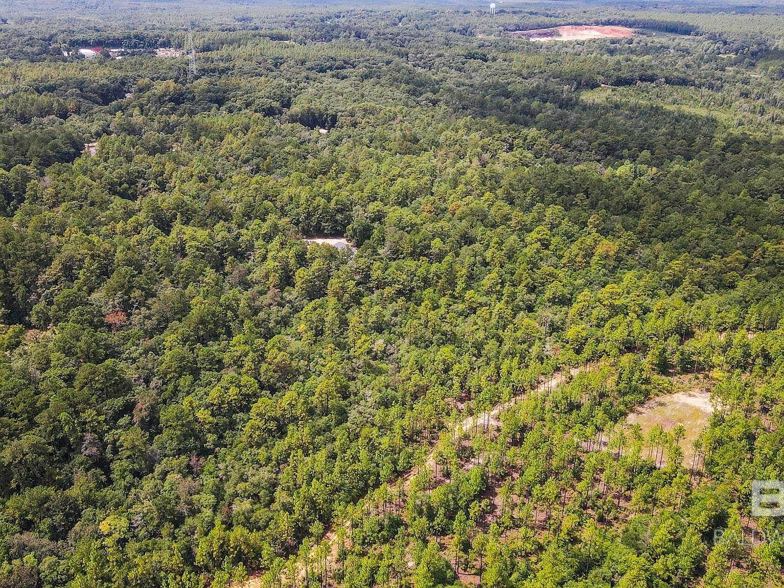 0 Mount Pilgrim Rd #6-8-4 Eight Mile, AL 36613 - Thumbnail 2