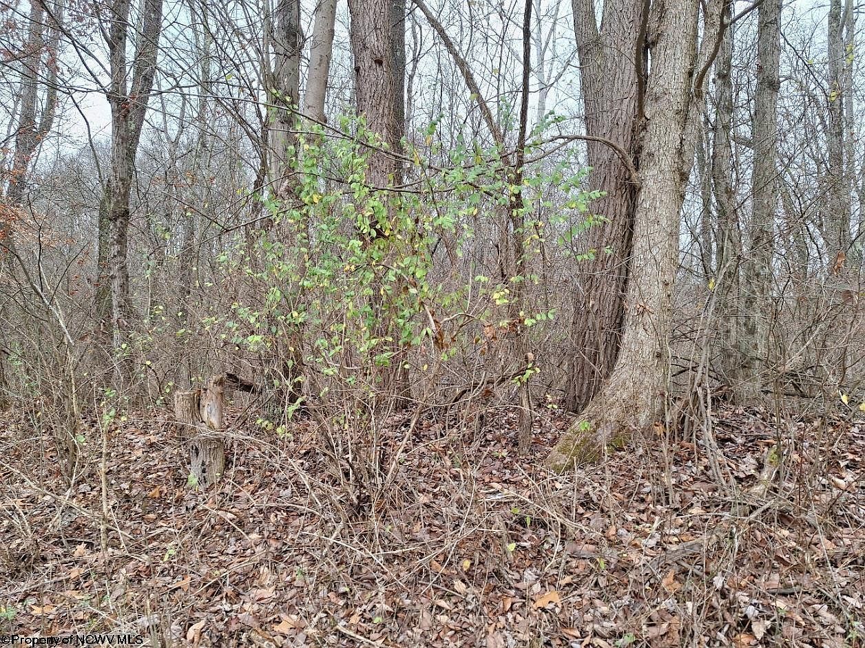 0 Jack Run Rd Bridgeport, WV 26330 - Thumbnail 2