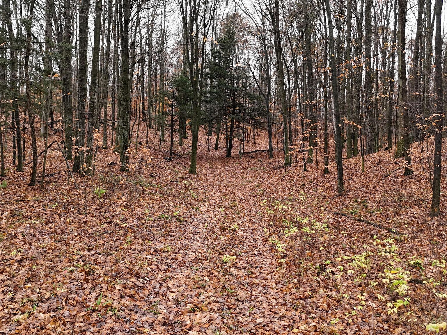 McClish Aka Bigge Copemish, MI 49625 - Thumbnail 2