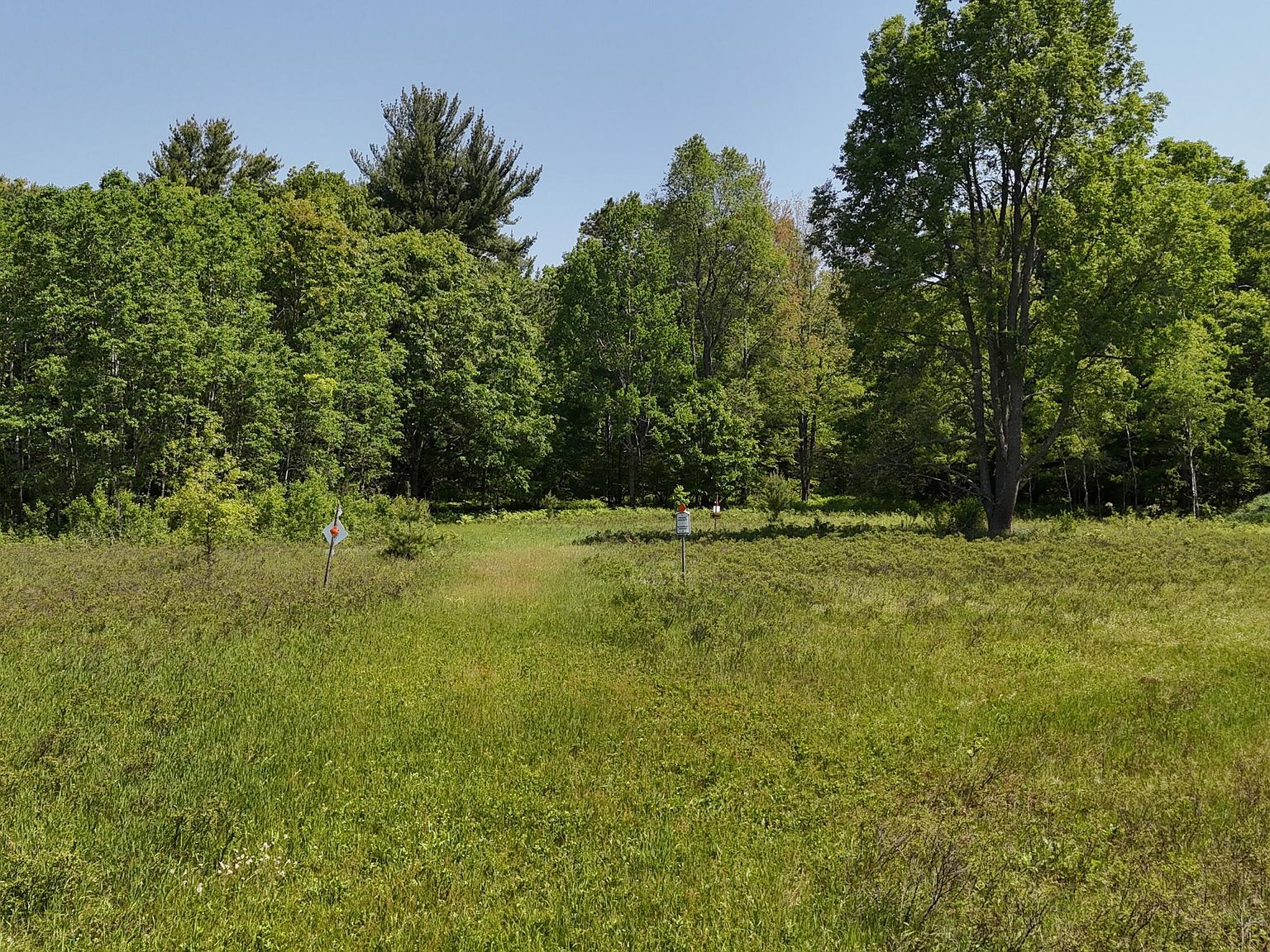 16311 Dickson Rd Brethren, MI 49619 - Thumbnail 2