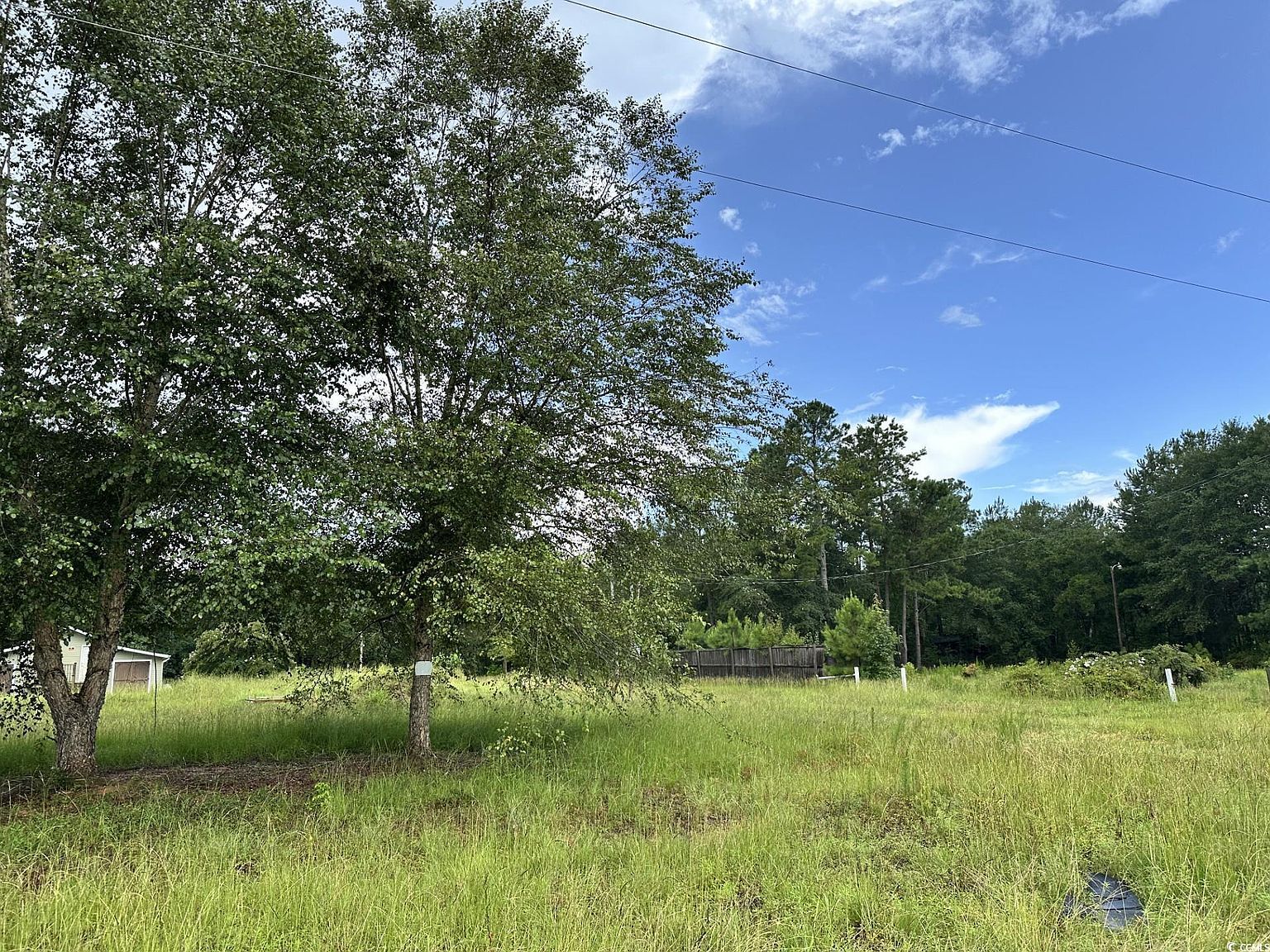 7023 New Bridge Rd Nichols, SC 29581 - Thumbnail 2