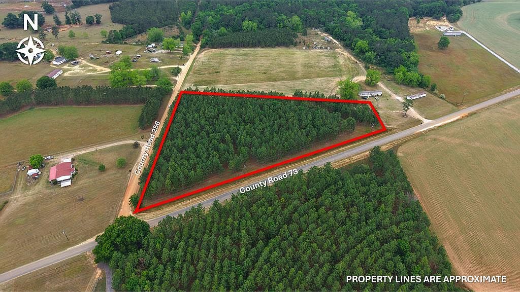 5/ACRE S County Road 73 Headland, AL 36345  | Land/Lot