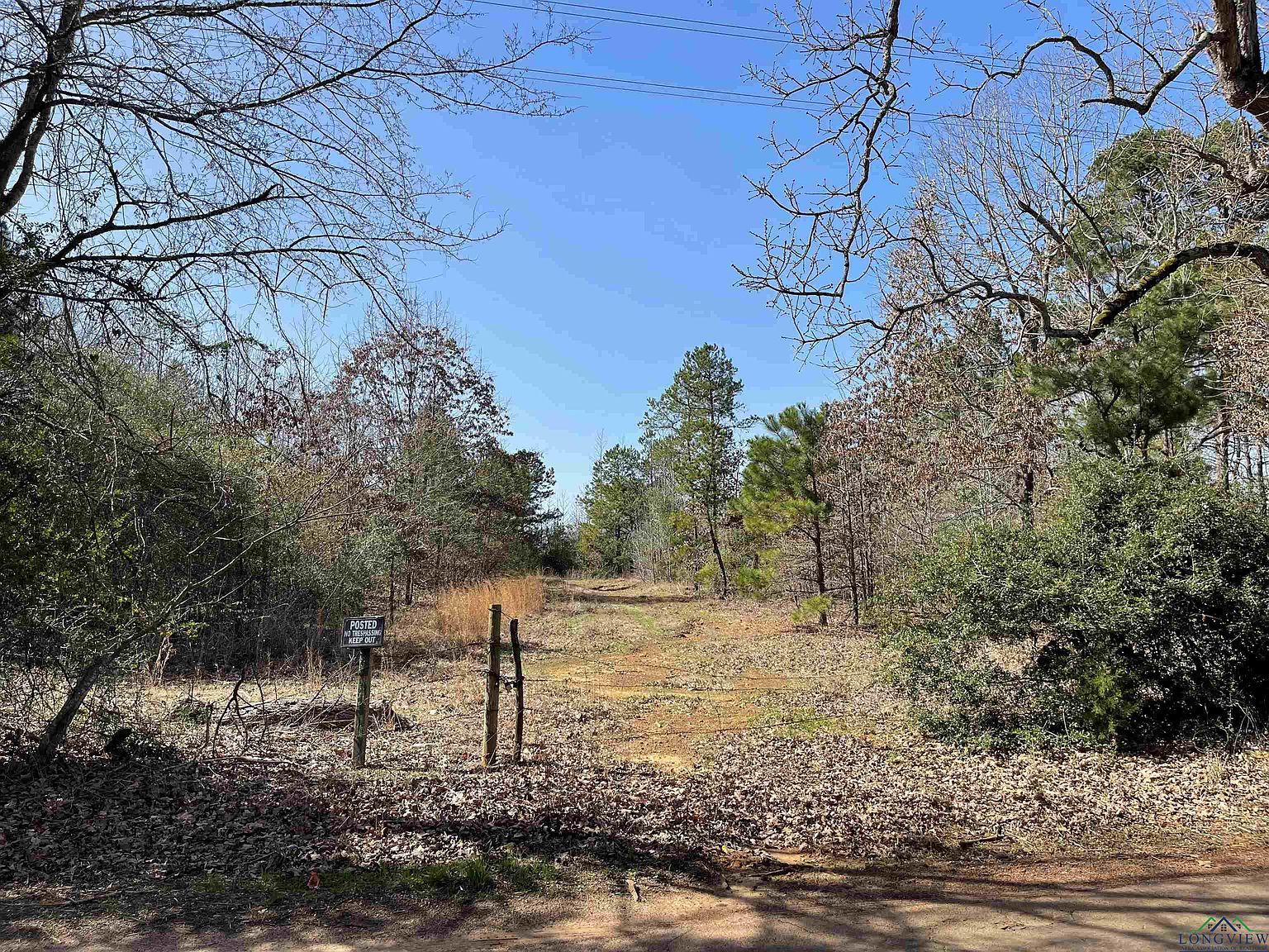 Tbd Zinnia Rd Diana, TX 75640  | Land/Lot