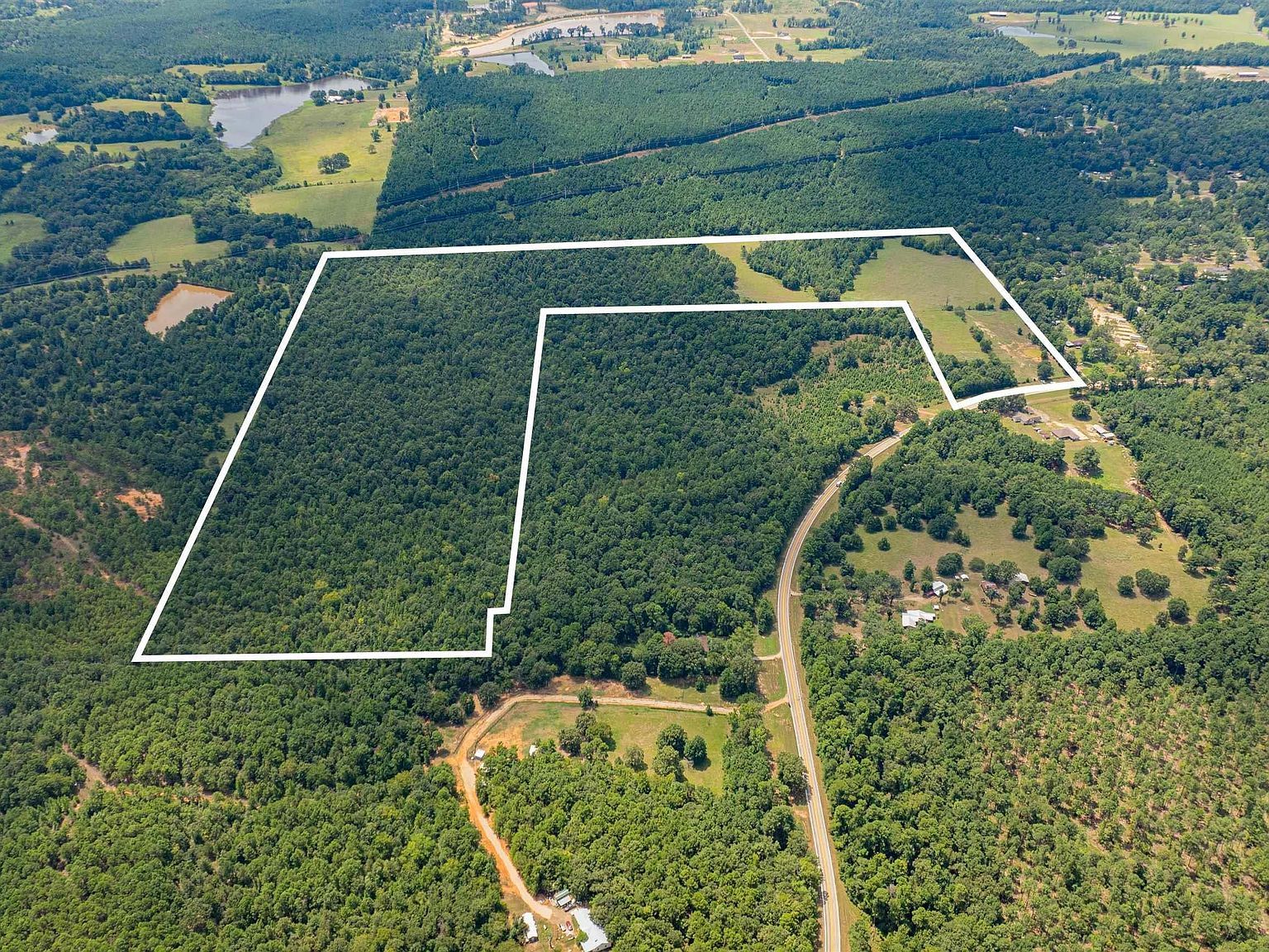 Tbd Fm 726 Diana, TX 75640 - Thumbnail 2