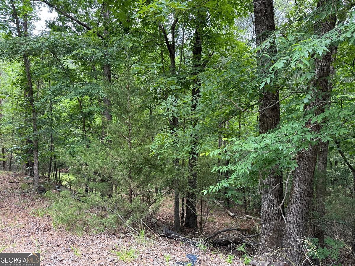LOT 51 Bramlett Dr Elberton, GA 30635, 30635