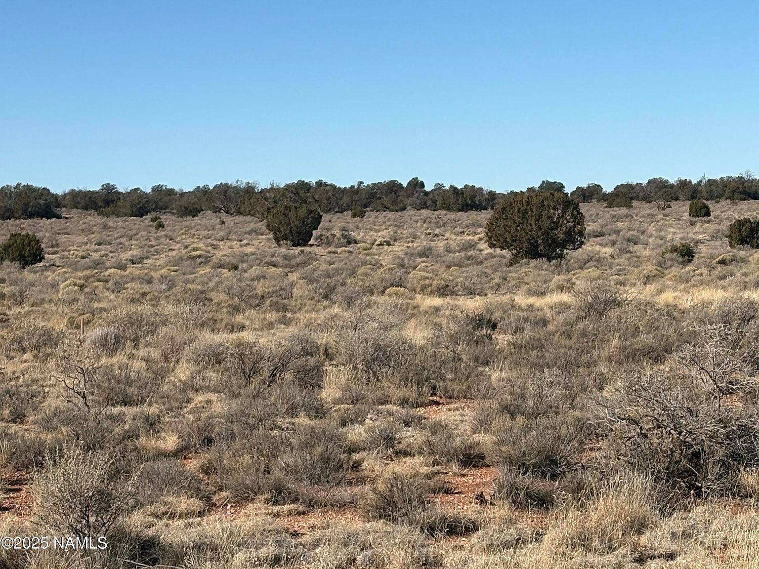 1625 E Laramie Dr Williams, AZ 86046 - Thumbnail 2