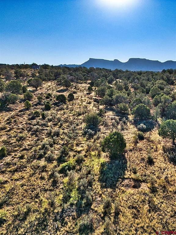 Tbd Highway 160 Cortez, CO 81321 - Thumbnail 2