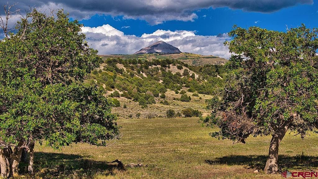 4107 Road 31 Cahone, CO 81320  | Land/Lot