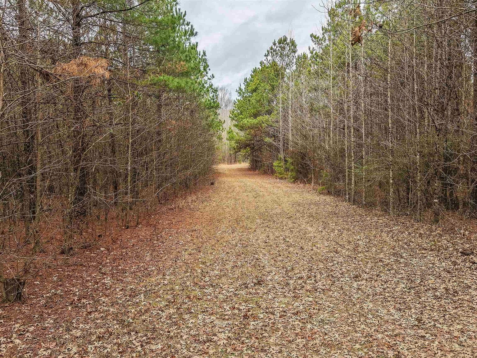 LOT 48 Highway 79 S Pine Bluff, AR 71603 - Thumbnail 2