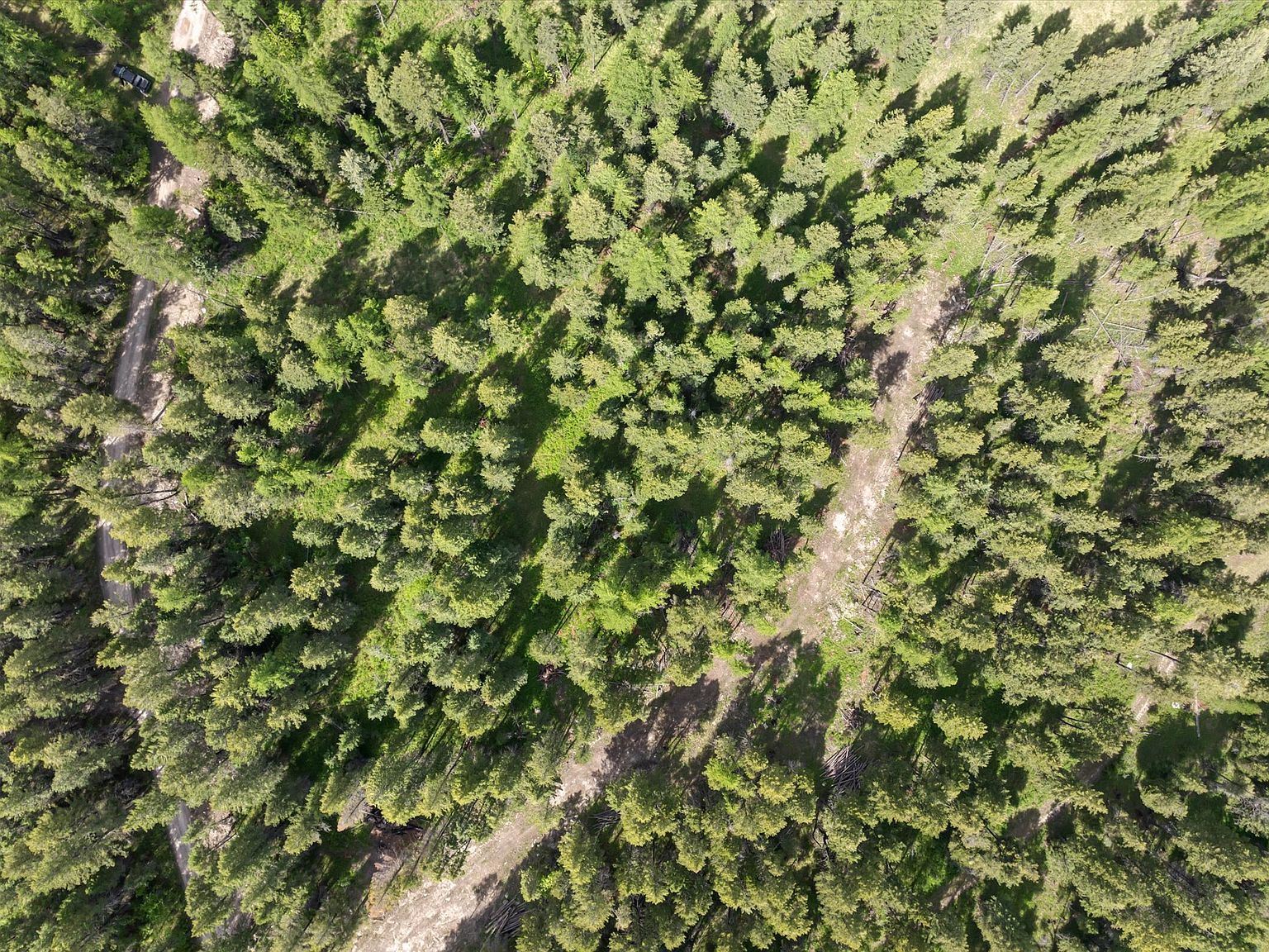 439 Buffalo Trl Somers, MT 59932 - Thumbnail 2