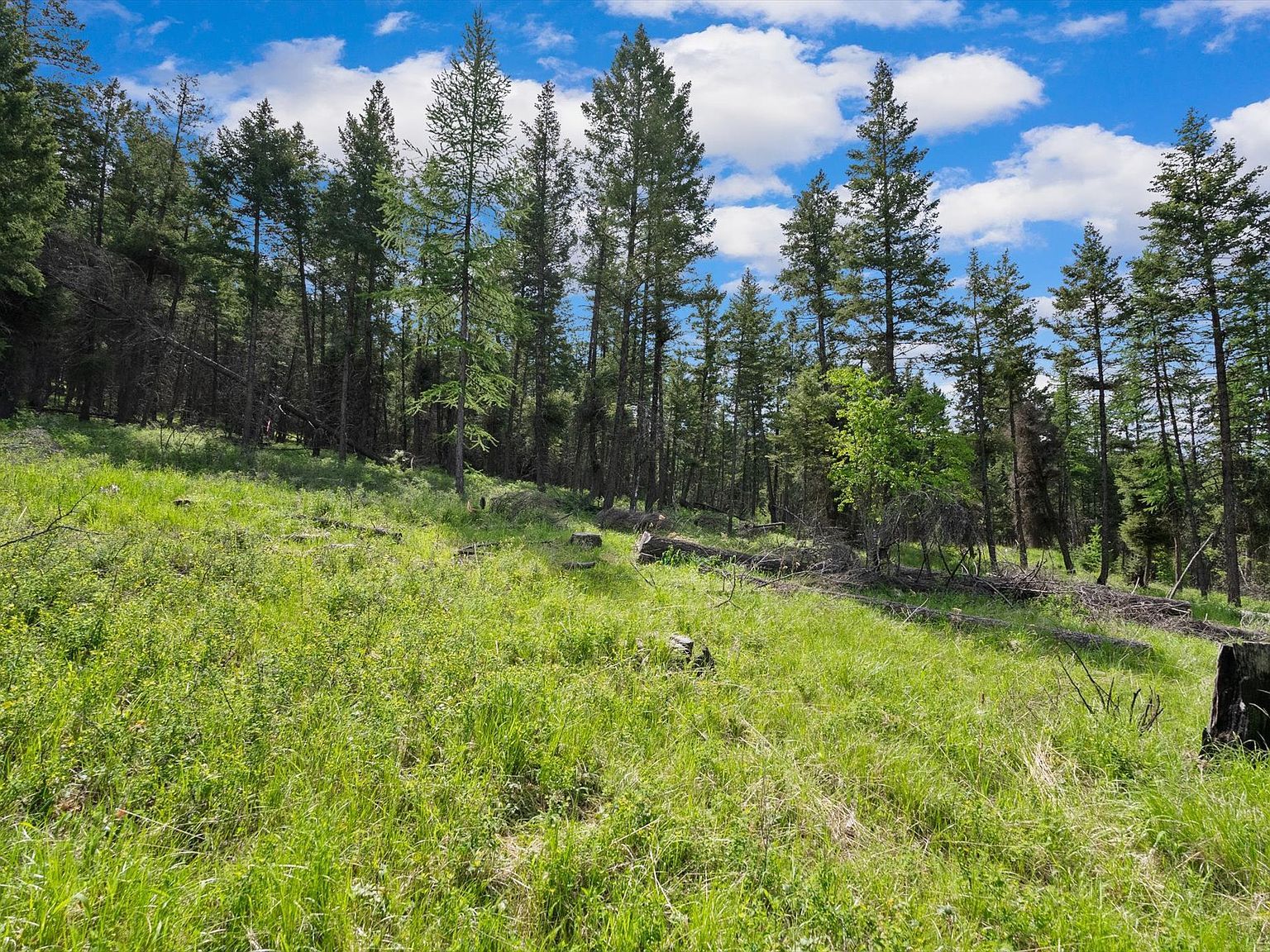 437 Buffalo Trl Somers, MT 59932 - Thumbnail 2