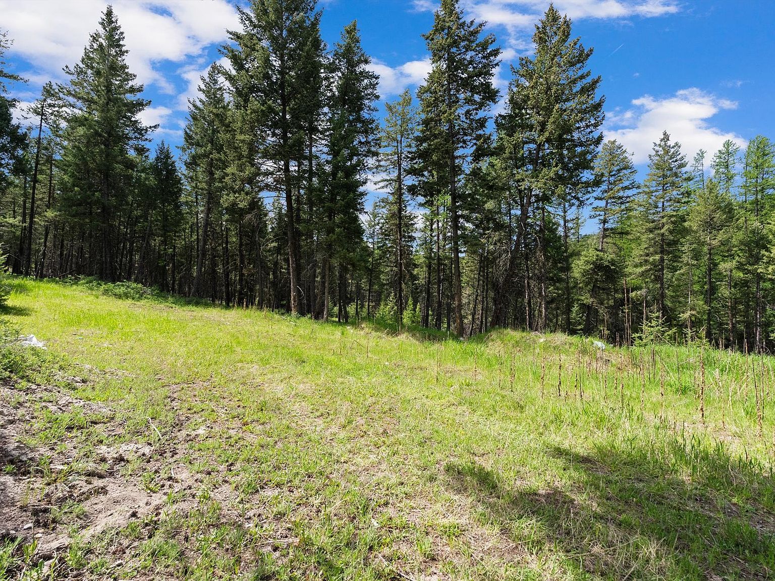 433 Buffalo Trl Somers, MT 59932 - Thumbnail 2