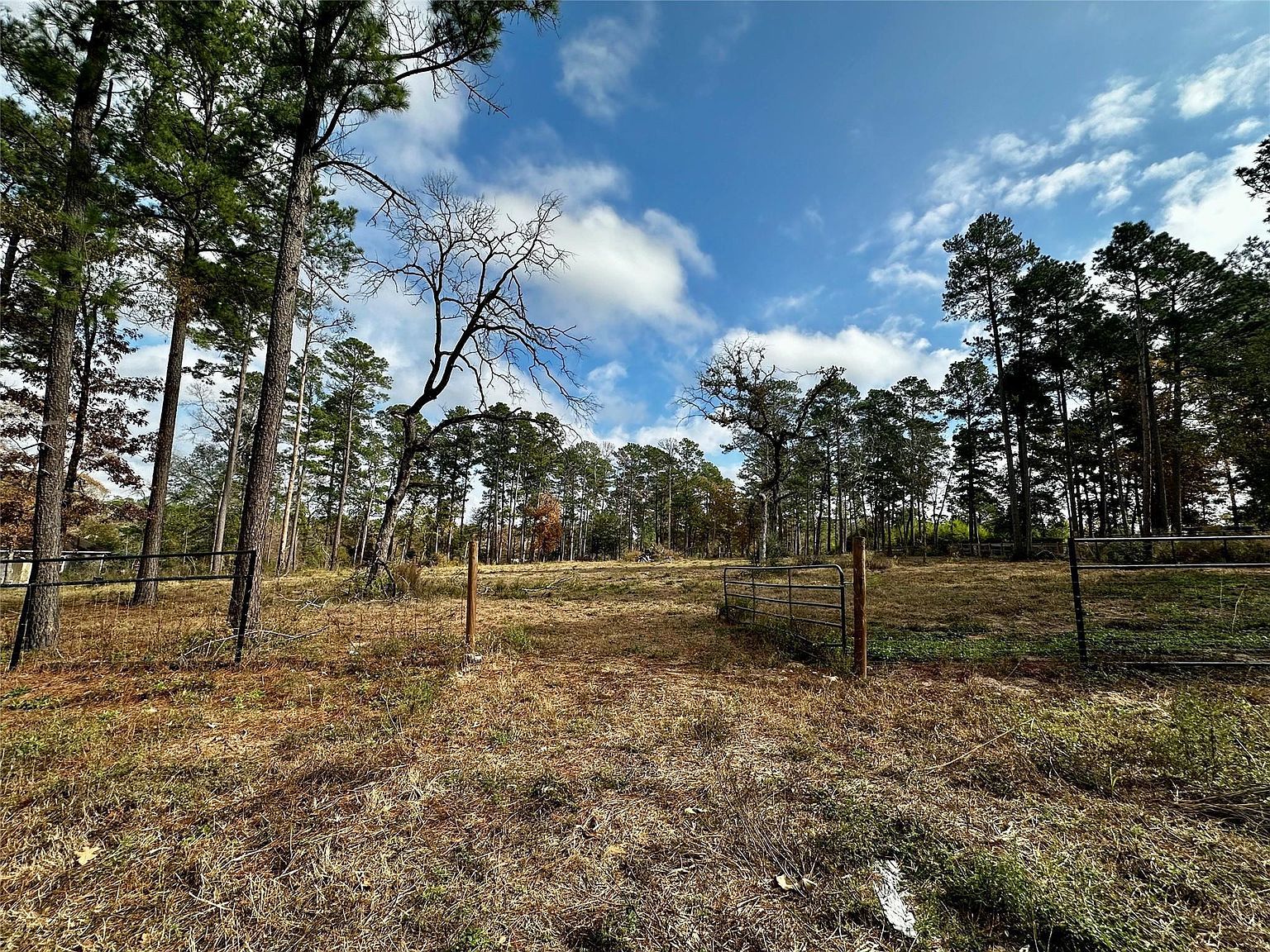 15238 Crape Myrtle Ln Navasota, TX 77868 - Thumbnail 2