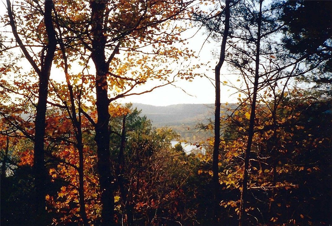 20 Lakeview Ln #25 Eureka Springs, AR 72631 - Thumbnail 2