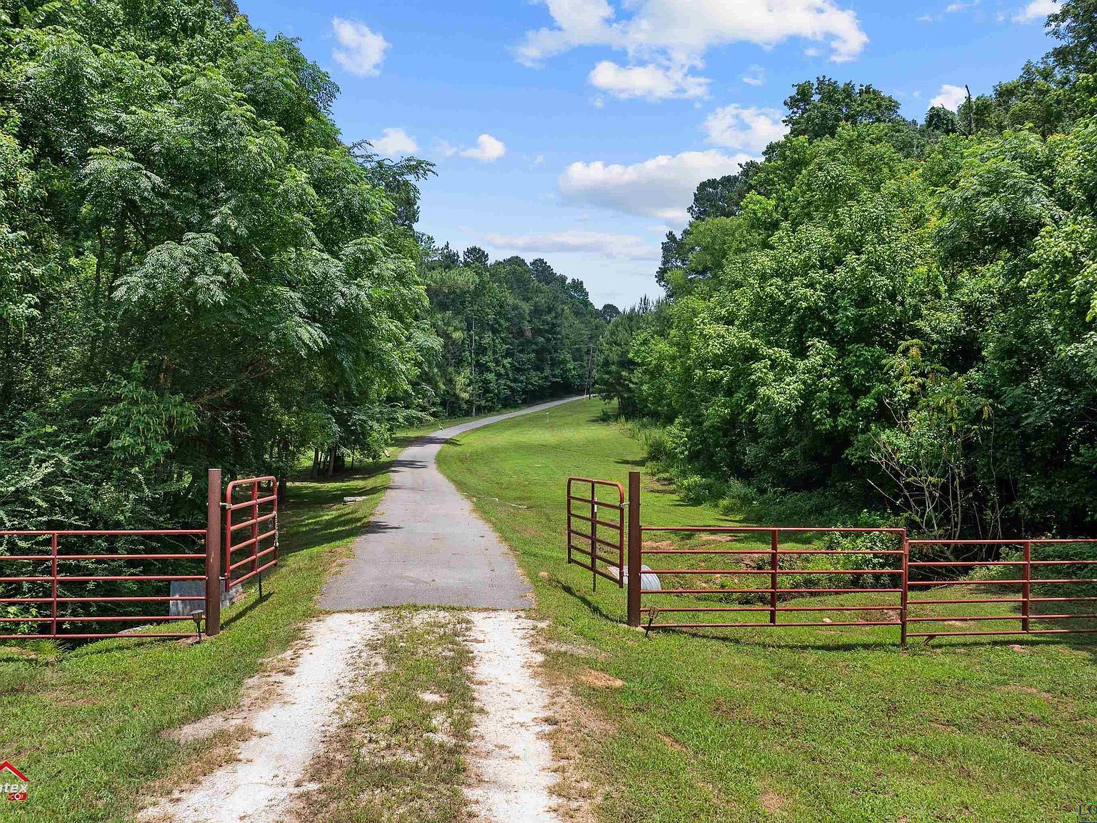 12493 State Highway 87 S Shelbyville, TX 75973 - Thumbnail 2