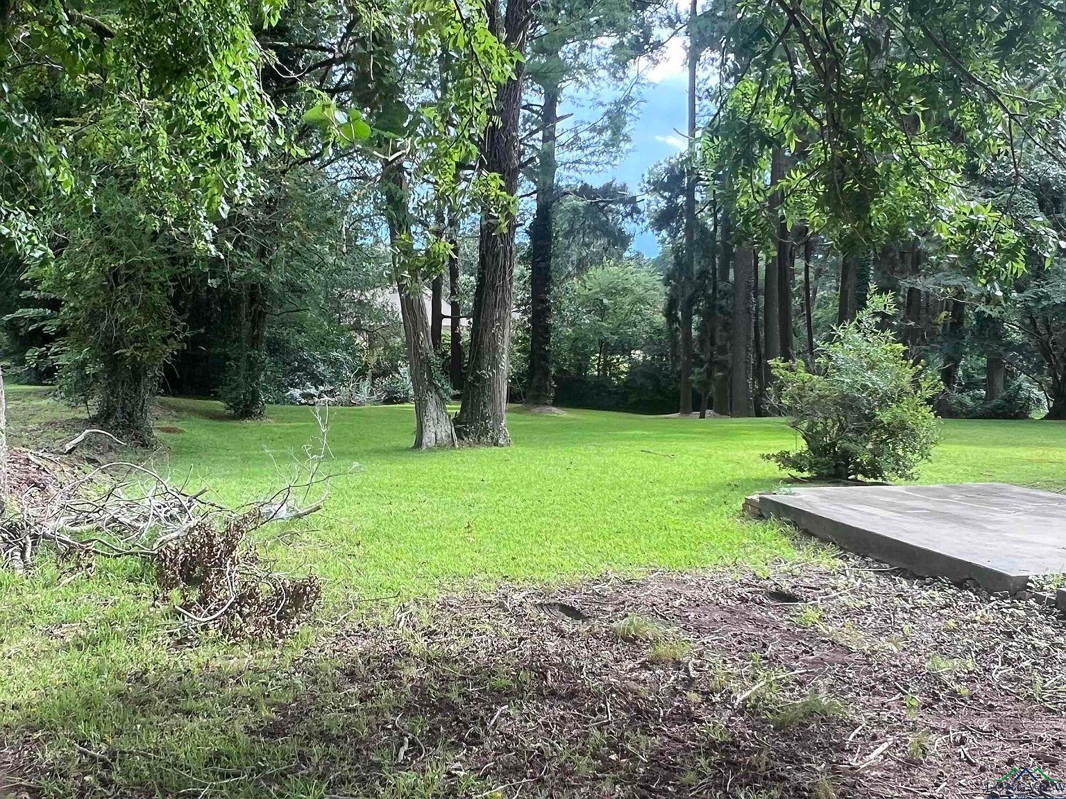 105 Watlington St Center, TX 75935 - Thumbnail 2