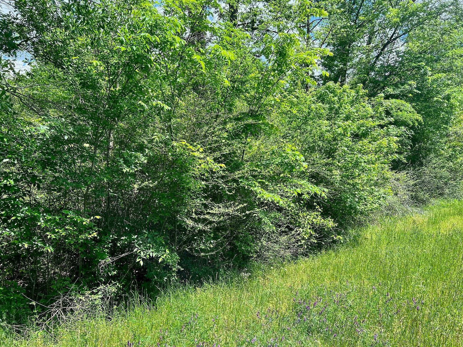 N Highway 87 N Center, TX 75935 | Land/Lot
