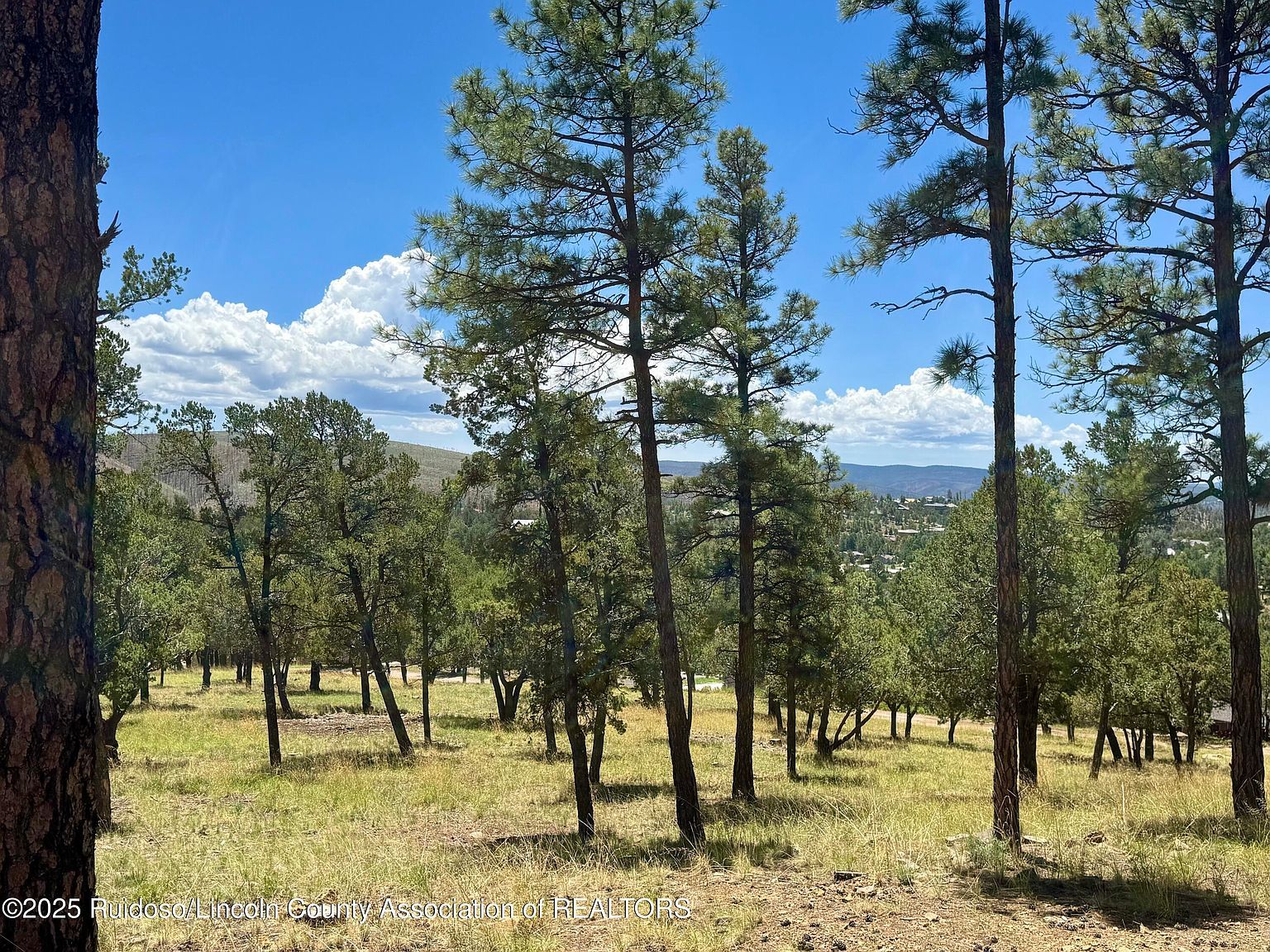 111 Topside Dr Ruidoso, NM 88345 - Thumbnail 2