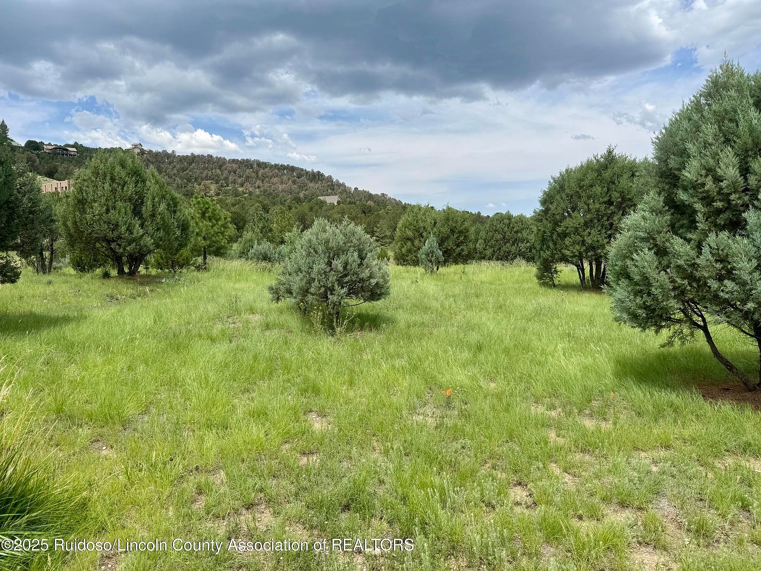 153 Deer Valley Dr Alto, NM 88312 - Thumbnail 2