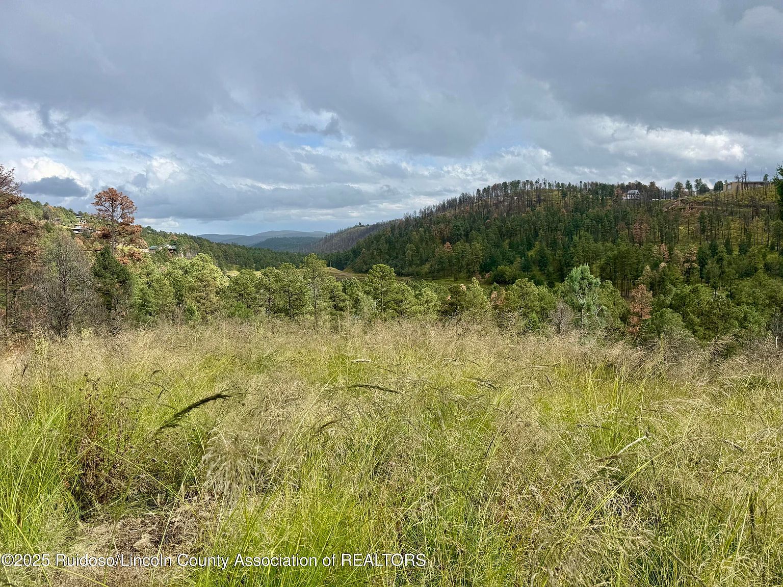 206 Sunset Dr Alto, NM 88312 - Thumbnail 2