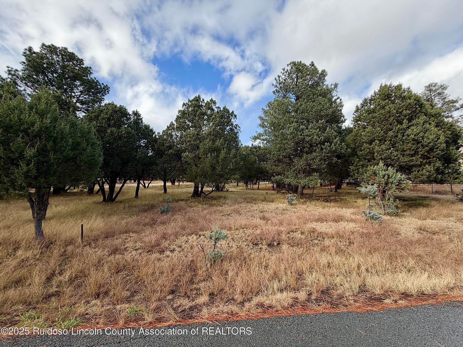 109 Mira Monte Rd Alto, NM 88312 - Thumbnail 2