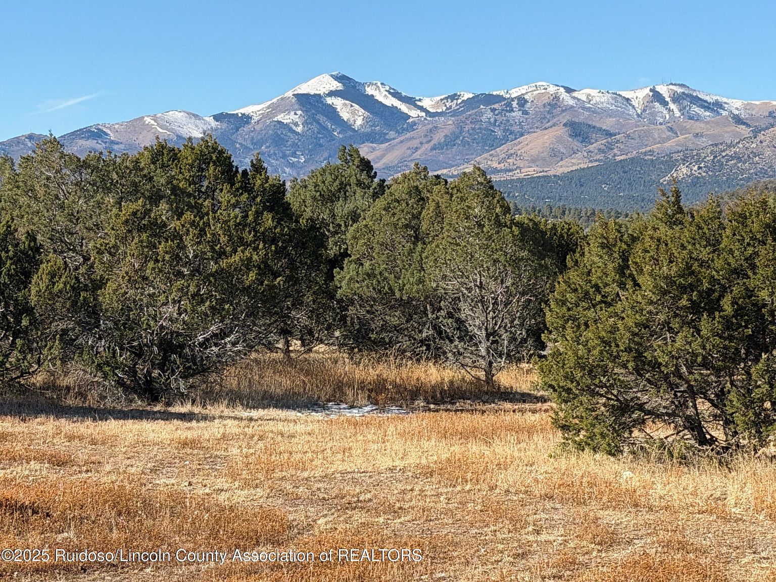 103 Cochiti Ct Alto, NM 88312 - Thumbnail 2