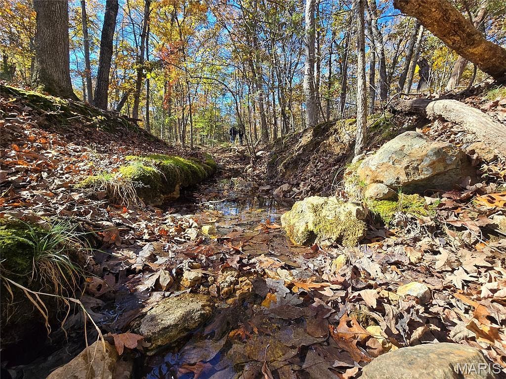 107 Railroad Ln Doe Run, MO 63637 - Thumbnail 2