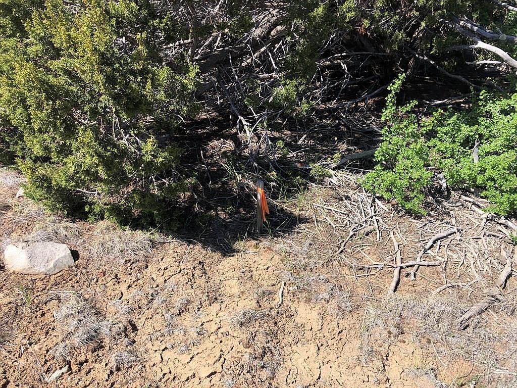 936 Rio Cucharas Walsenburg, CO 81089  | Land/Lot