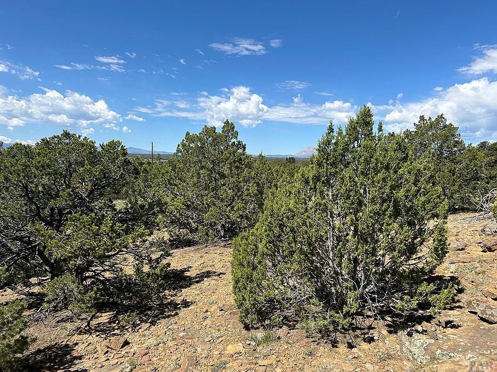 447 Rio Cucharas Walsenburg, CO 81089  | Land/Lot