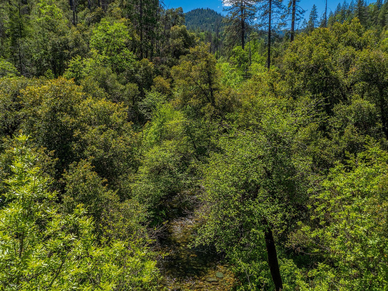 Dog Creek Rd Lakehead, CA 96051  | Land/Lot