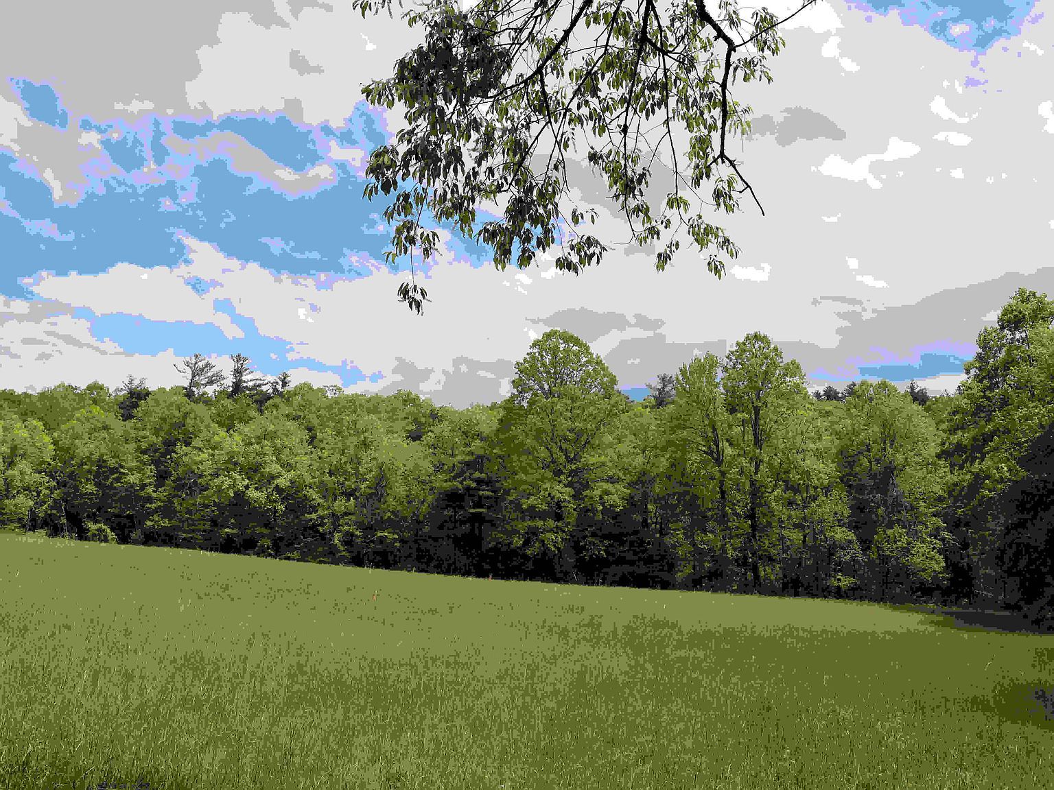 4 Franklin Pike SE Floyd, VA 24091  | Land/Lot