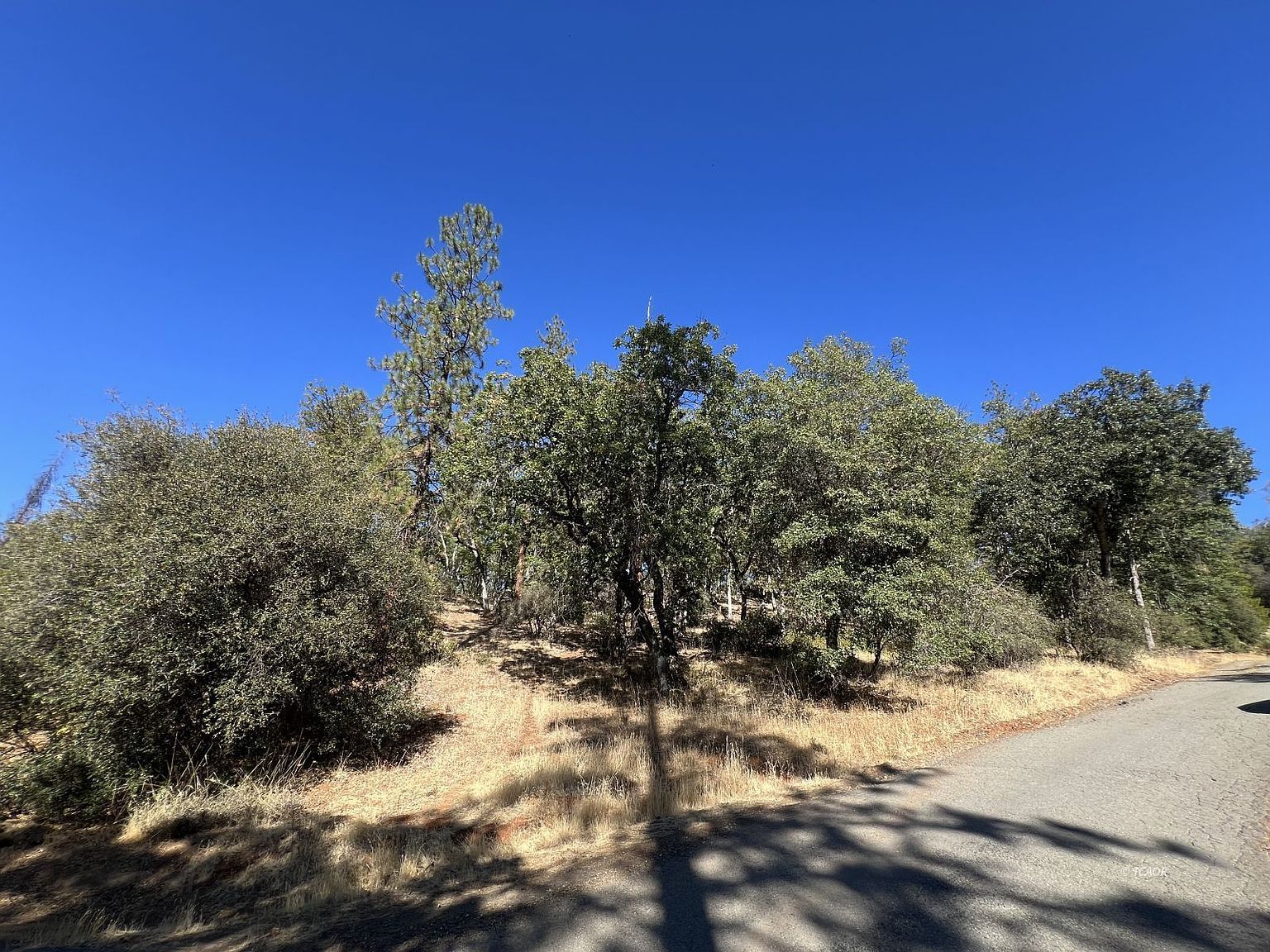 841 Browns Ranch Rd Weaverville, CA 96093  | Land/Lot