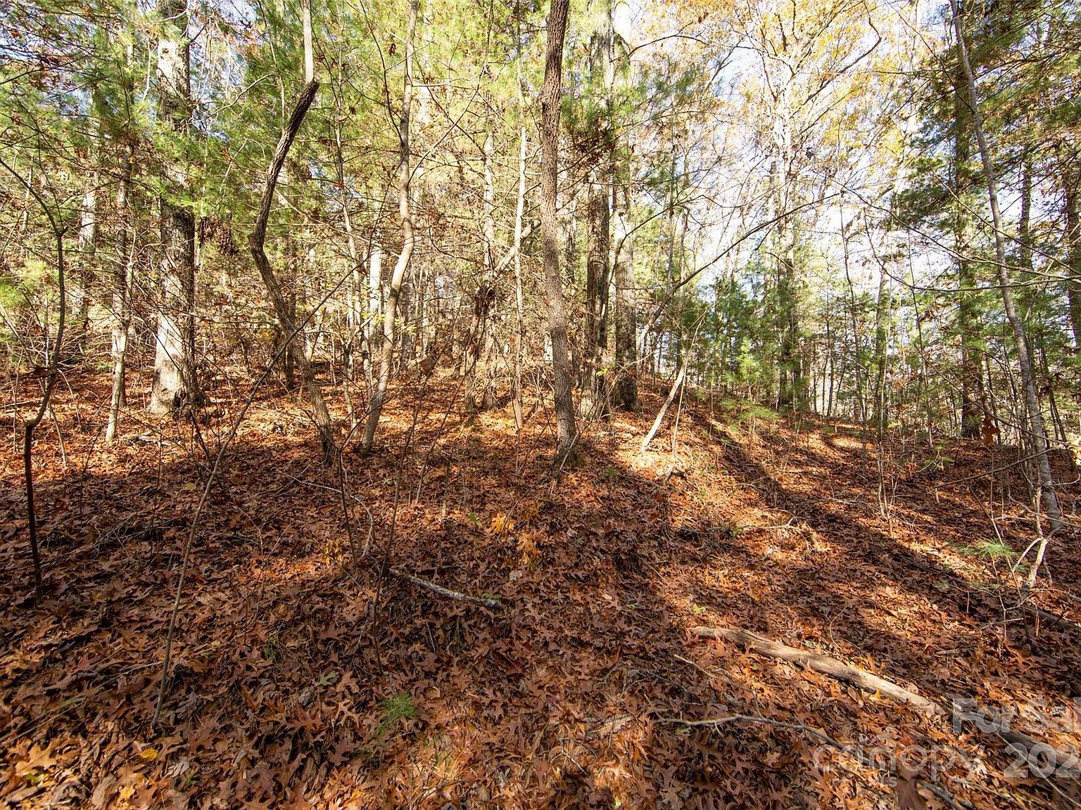99999 Big Raven Ln Saluda, NC 28773 | Land/Lot