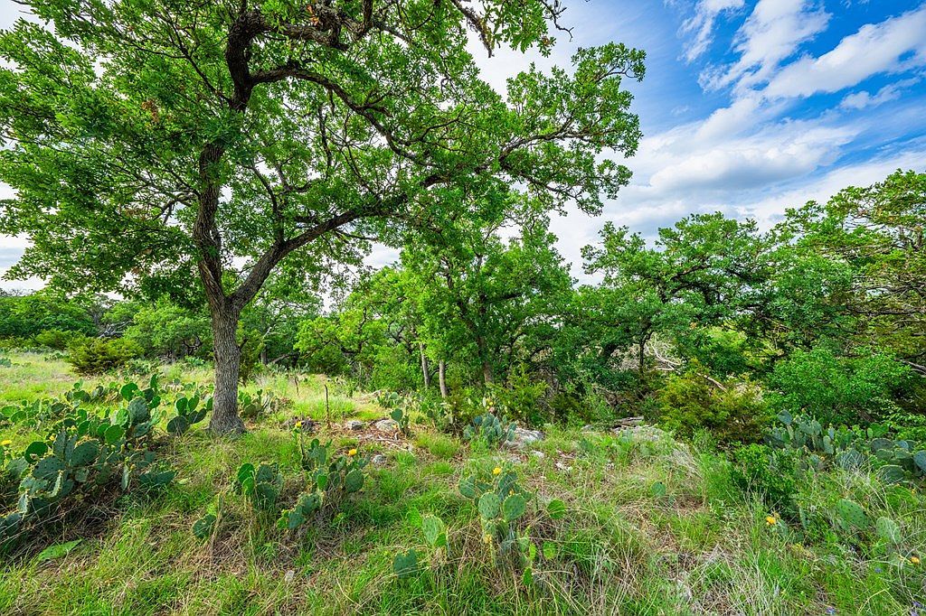 180 Hermosa Hunt, TX 78024  | Land/Lot