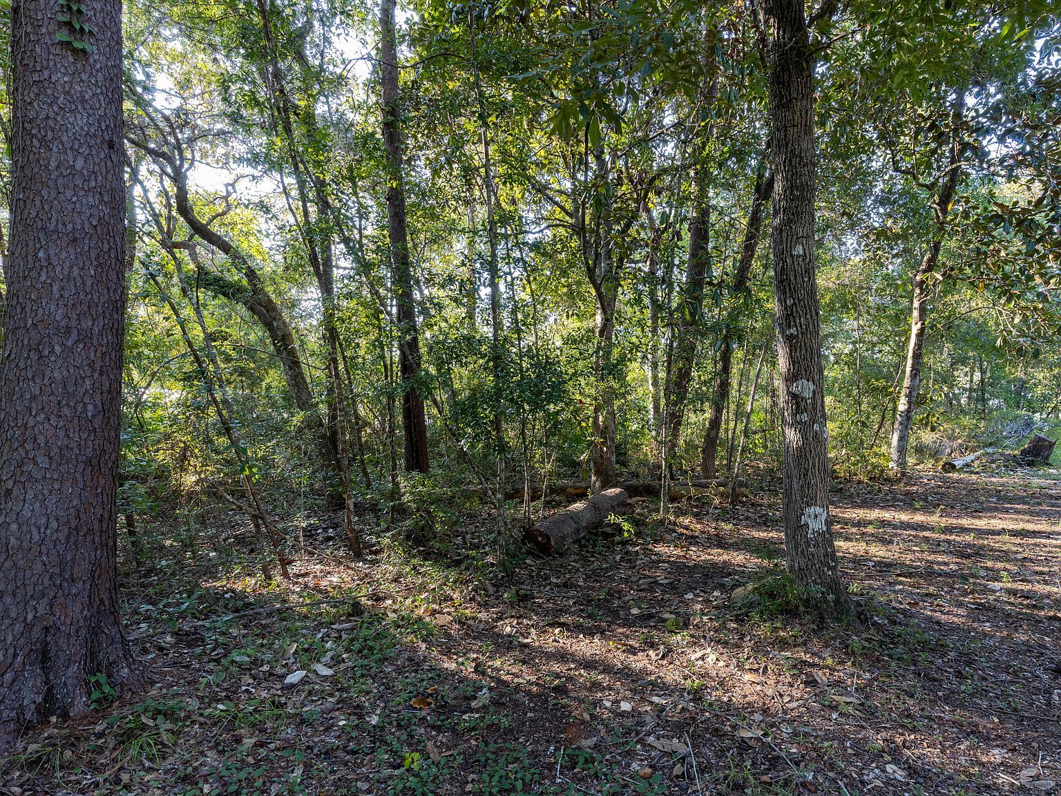 LOT Xx On Stillwater Rd Freeport, FL 32439 | Land/Lot