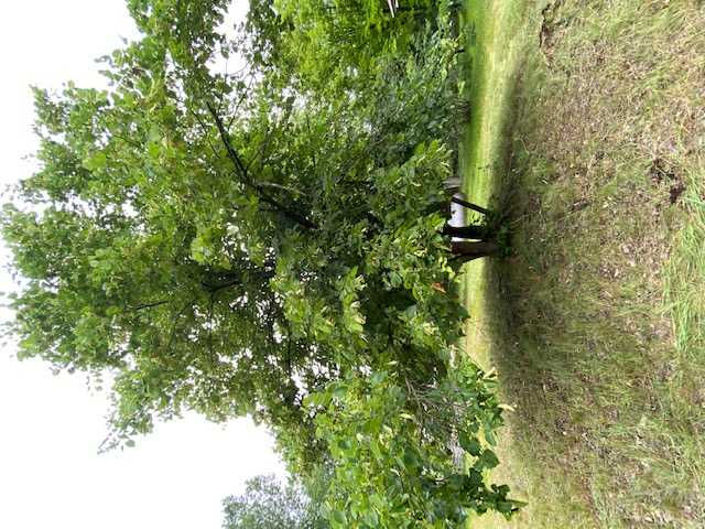 530 South Rice Lake Drive, Gwinn, MI, USA, 49841  | Single Family