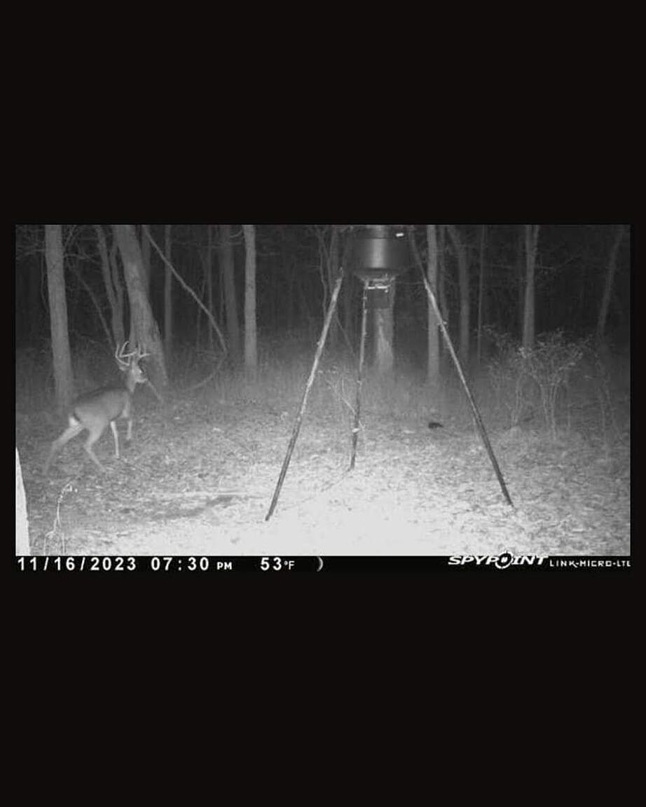 3478 S 216th Rd Goodson, MO 65663  | Land/Lot