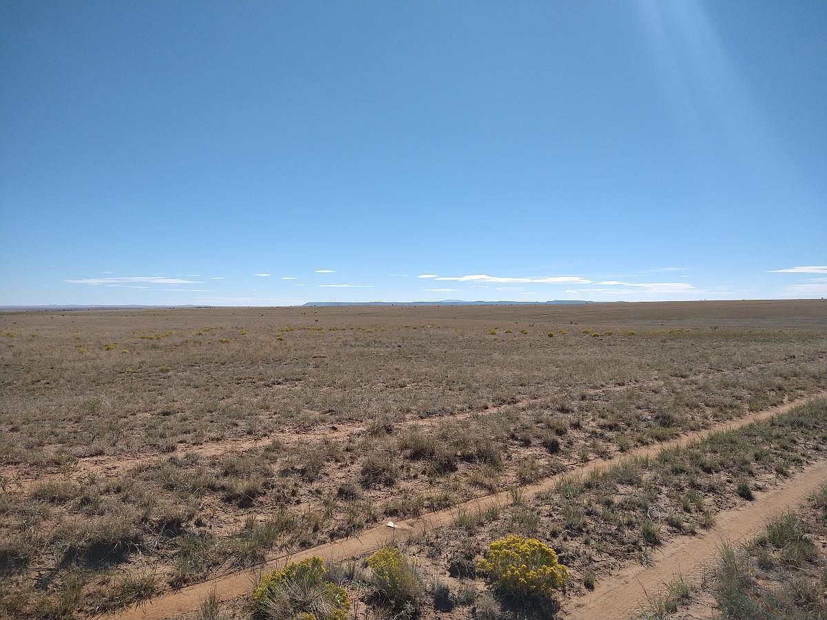 Canta Ranas Rd Mountainair, NM 87036 | Land/Lot