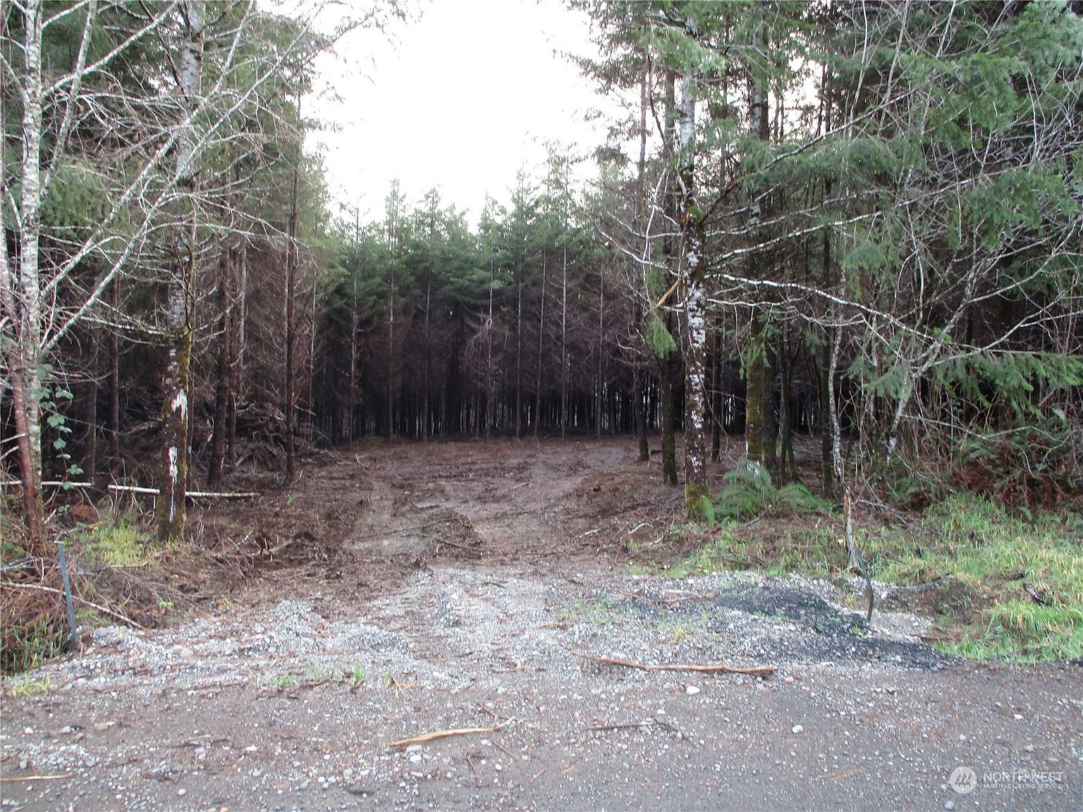 7 Beaver Hill Ln Montesano, WA 98563  | Land/Lot