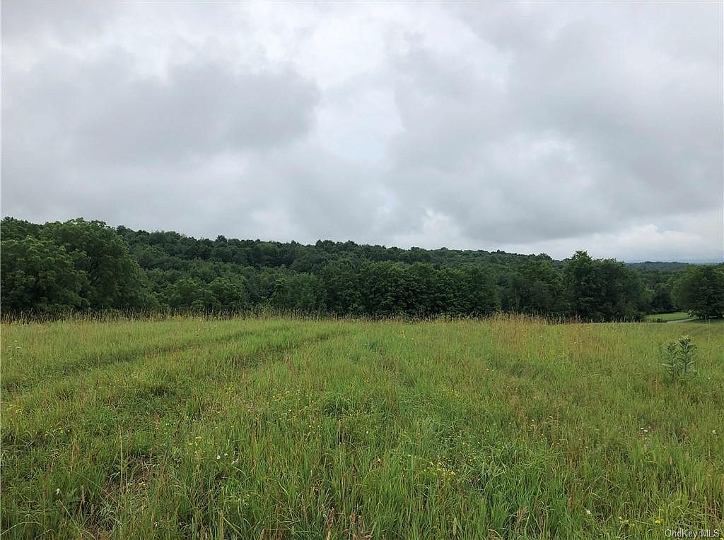 11 Kaylei Way Florida, NY 10921 | Land/Lot