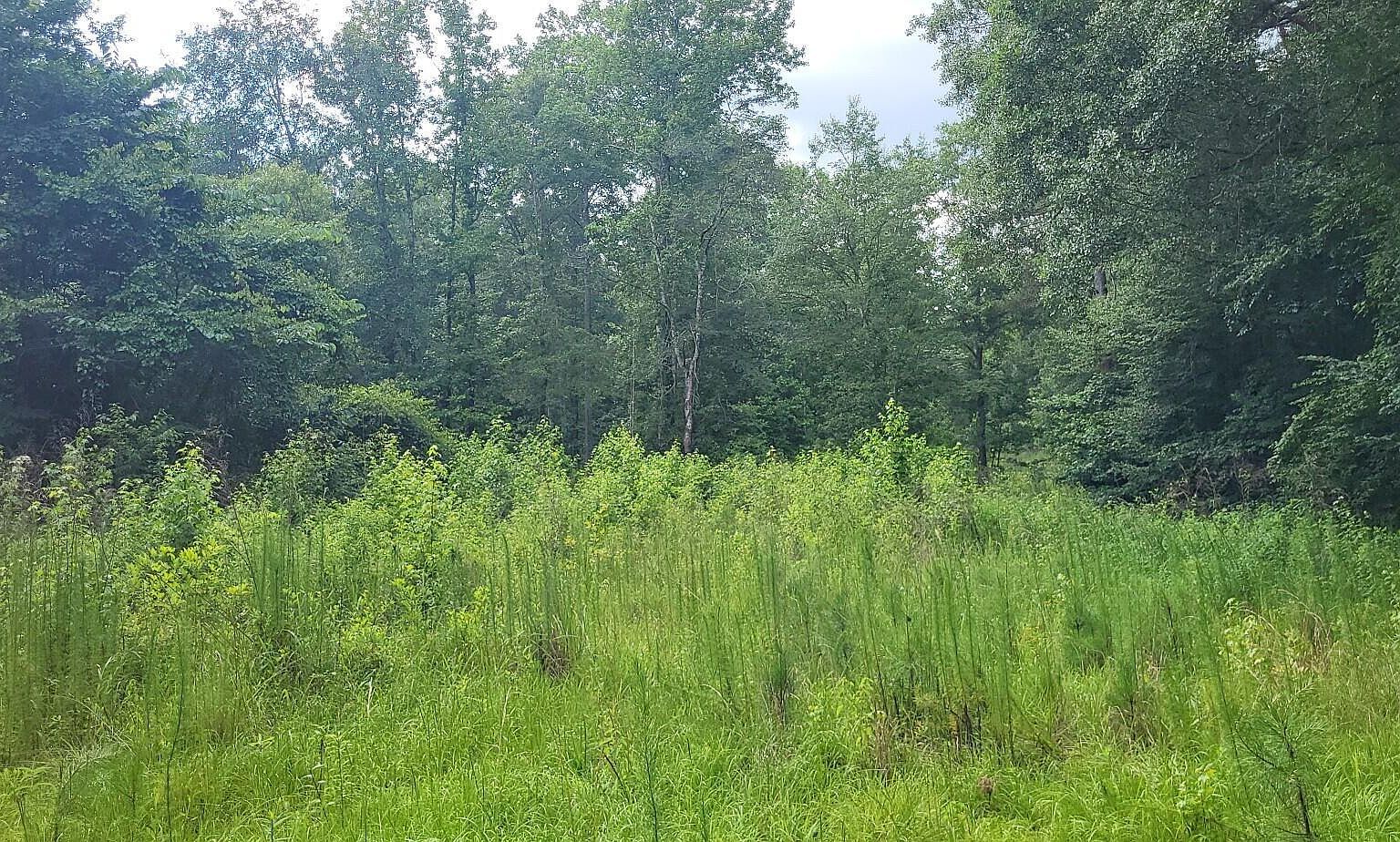 20039 Rowell Dr Aberdeen, MS 39730  | Single Family