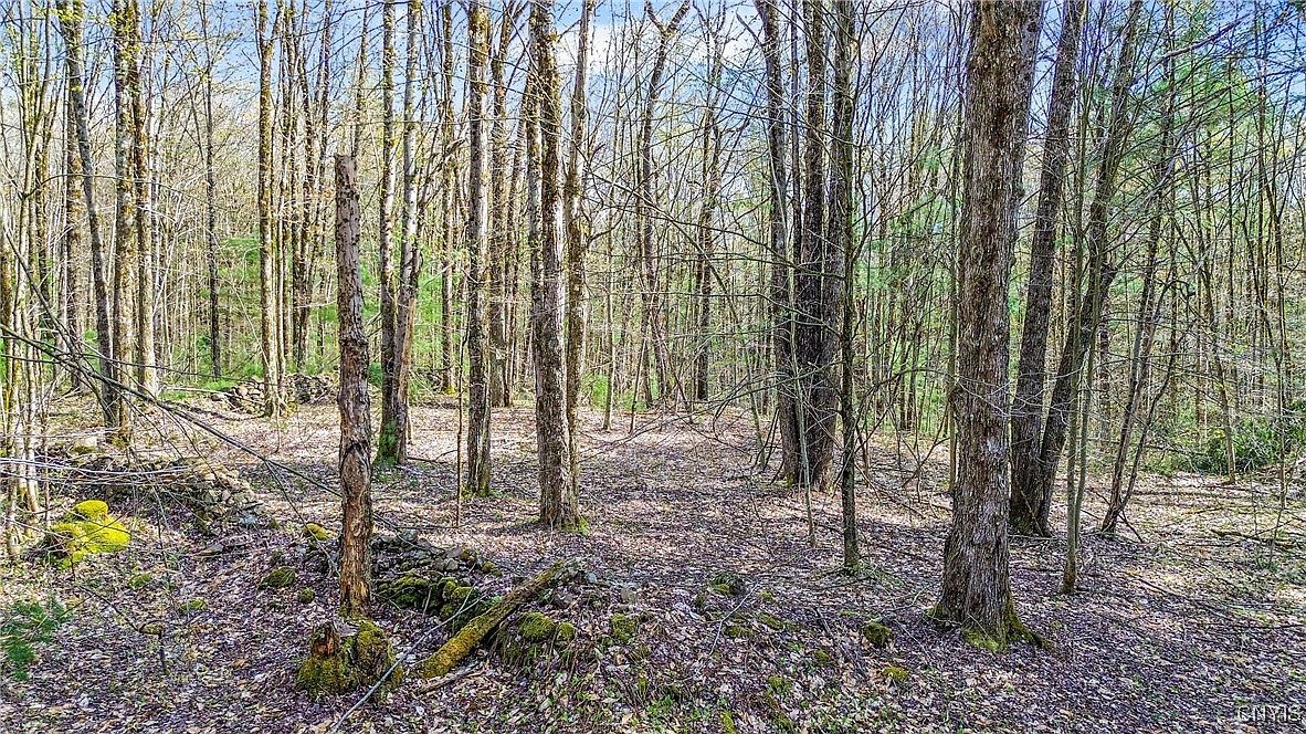 0 Old State Rd #32 Williamstown, NY 13493  | Land/Lot