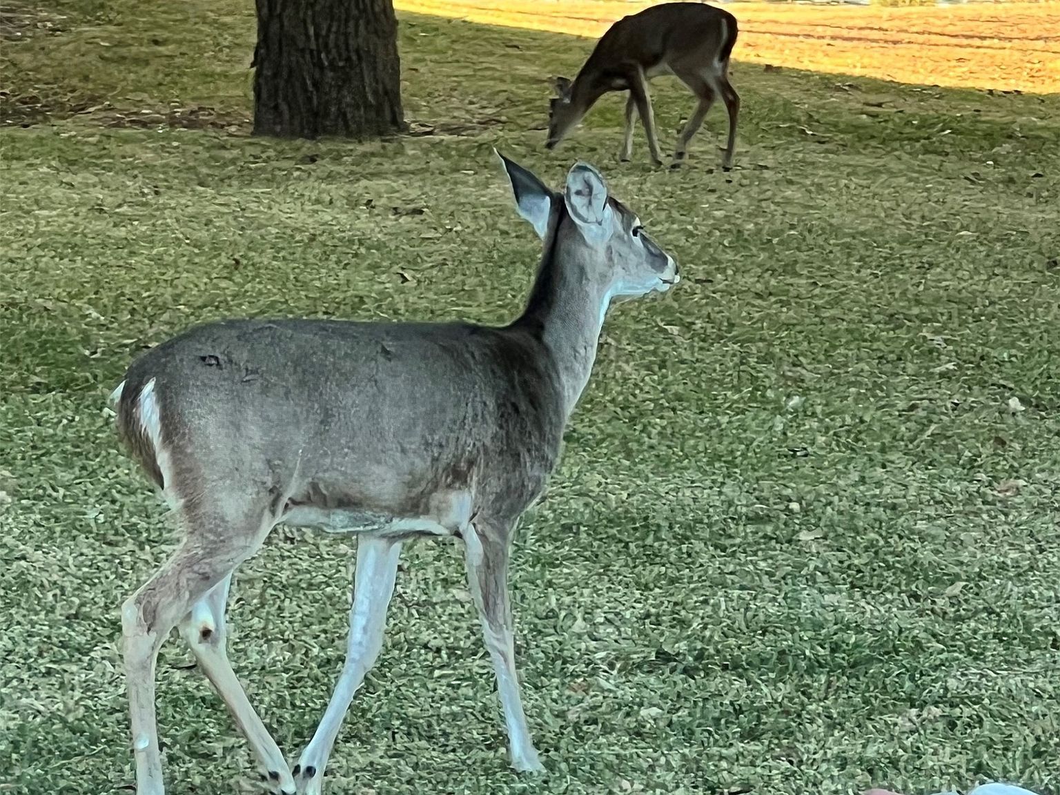 Tbd2 Feather Bay Dr Brownwood, TX 76801 | Land/Lot