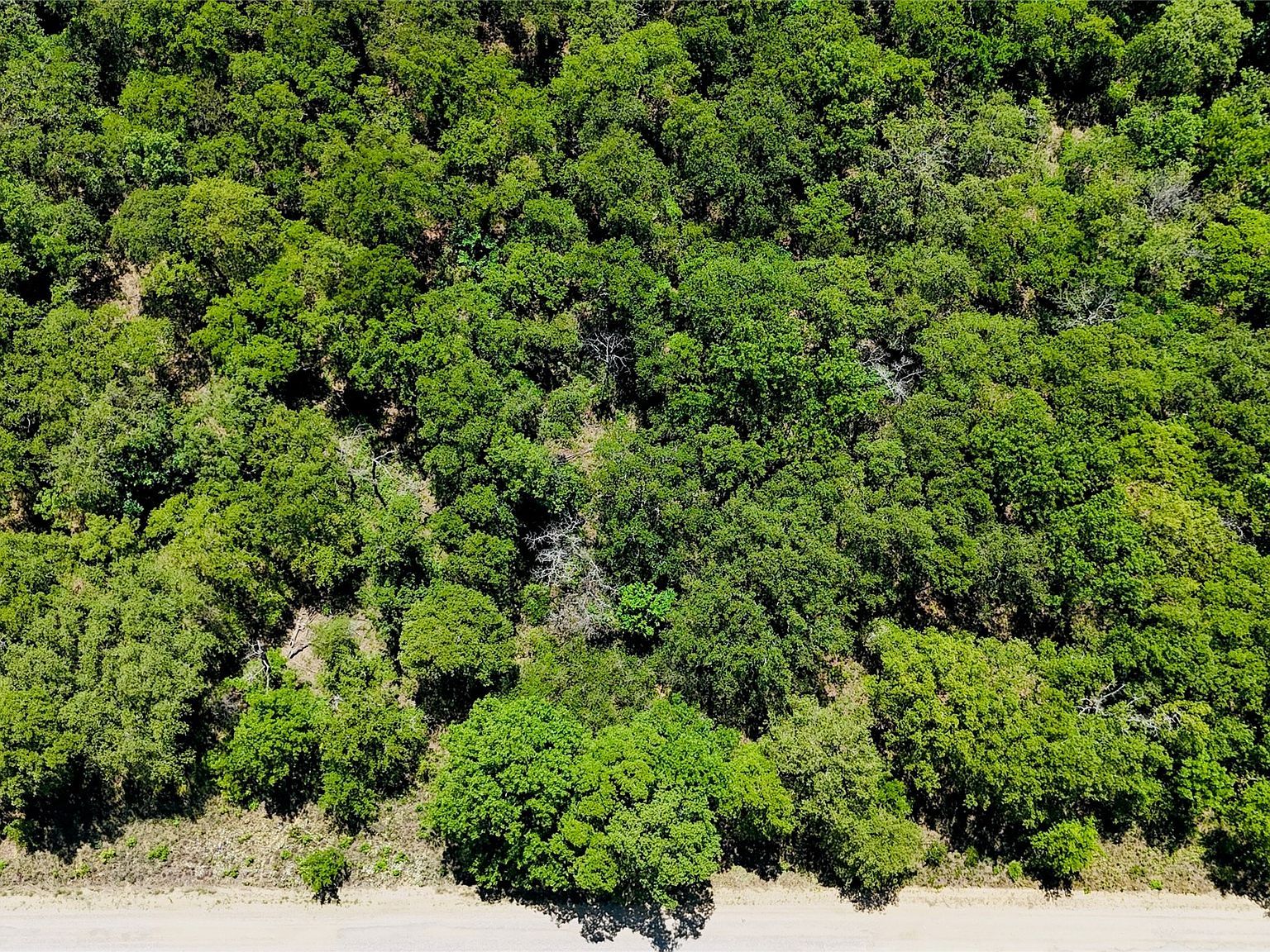 143 Briarwood Trl Nocona, TX 76255  | Land/Lot