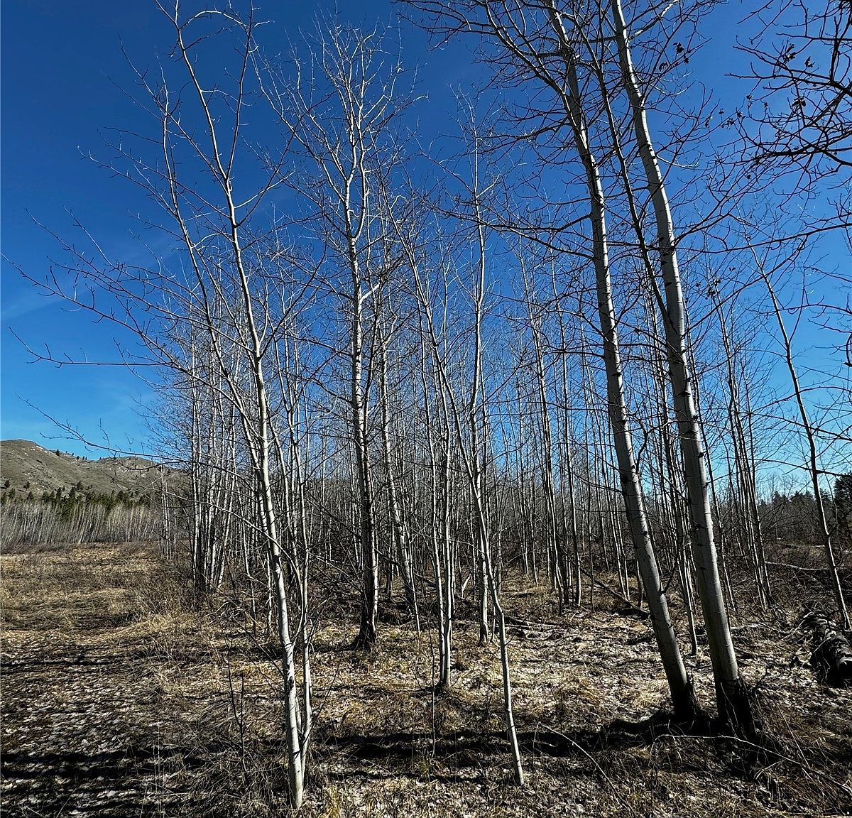 0 Washington Creek Rd Chelan, WA 98816  | Land/Lot