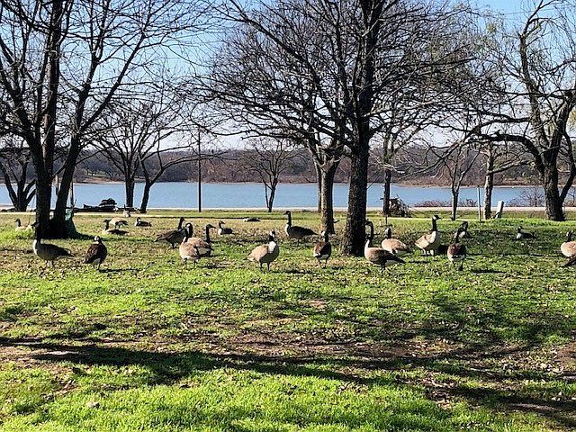 Highline Ln Little Elm, TX 75068  | Land/Lot