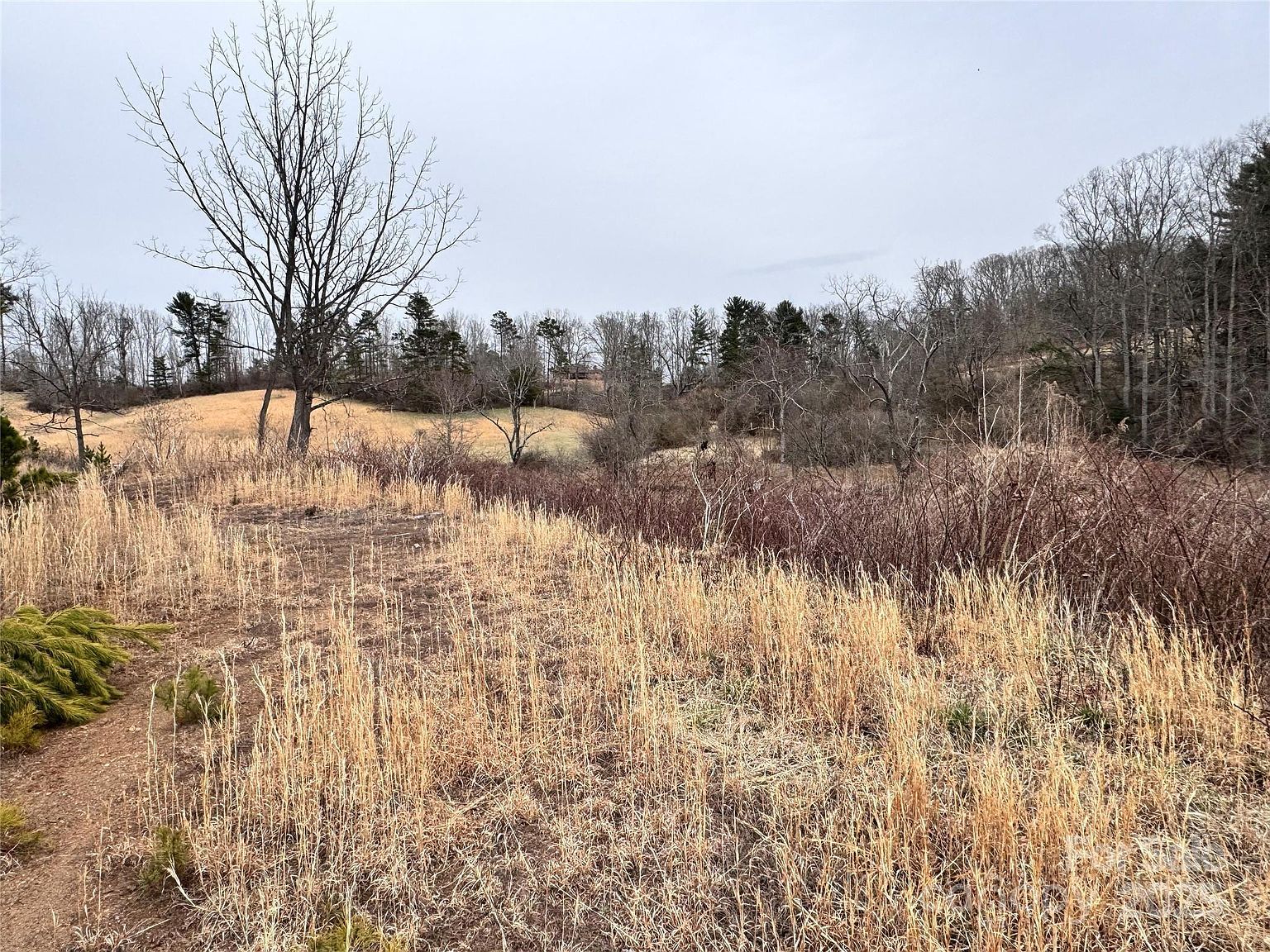 38 Flourish Farm Ln Asheville, NC 28806  | Land/Lot