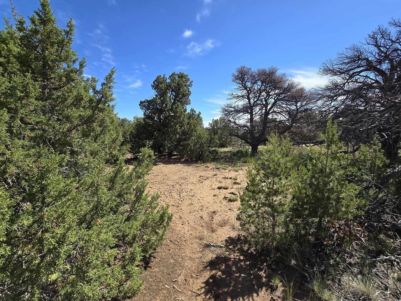 67 Seneca Pl #2 Walsenburg, CO 81089 | Land/Lot